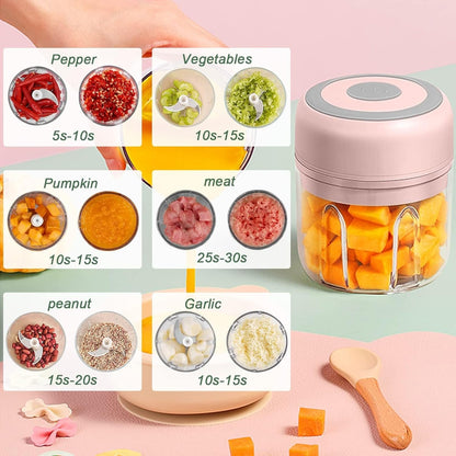 Electric Mini Garlic Chopper, 100ML Food Chopper Garlic Mincer USB, Portable Small Food Processor for Vegetables