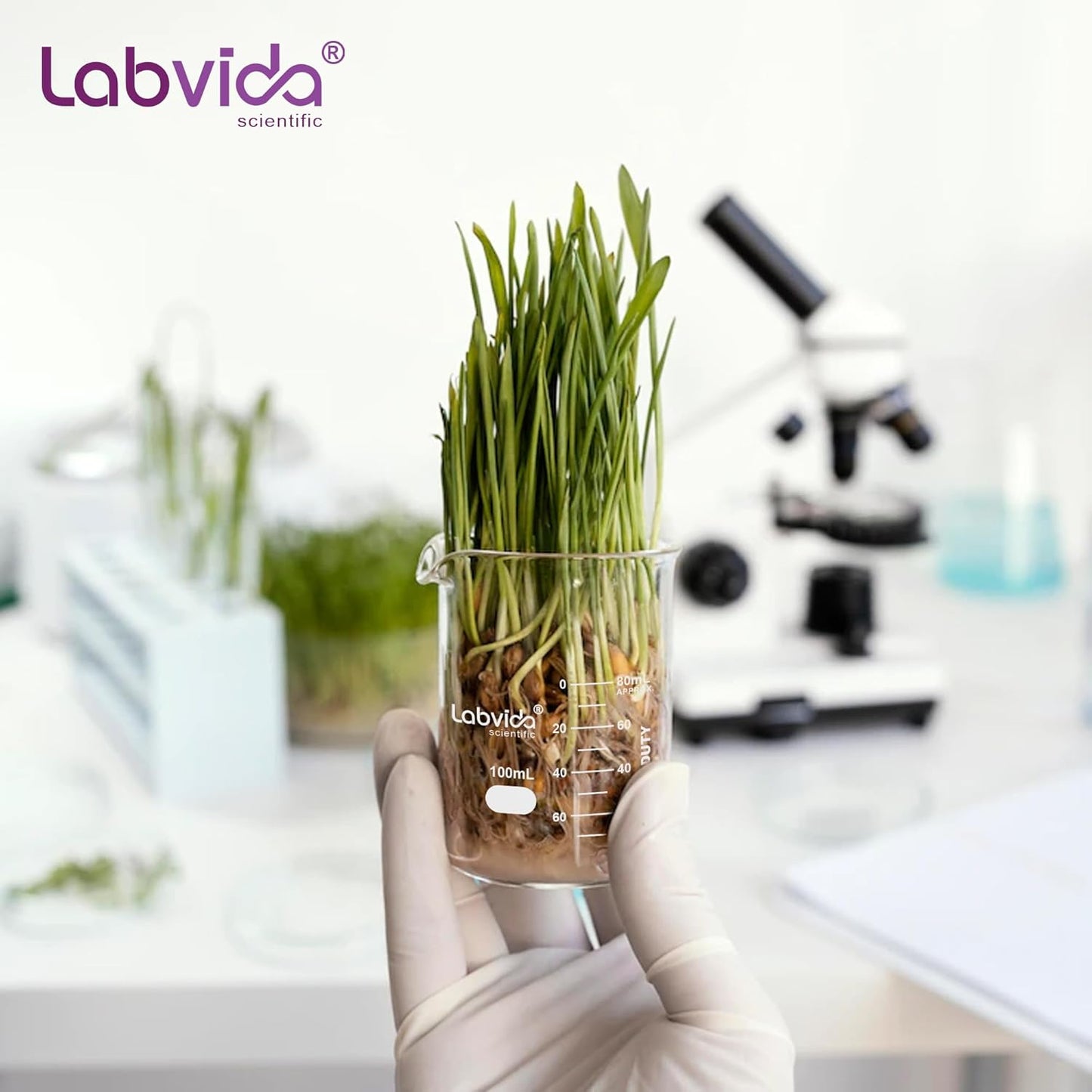 Upgrated 6 Size Low Form Glass Beaker Set, 25ml 50ml 100ml 250ml 500ml 1000ml, 3.3 Boro Glass beakers with Printed Graduation, LVA019