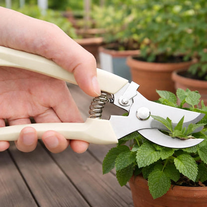 Pruning Shears,Ahoooot 2Pcs Pruning Shears for Gardening,Professional Garden Shears for Flowers, Bonsai and Fruits Picking (1pc Straight & 1pc Curved)