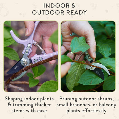Modern Sprout Hand Pruners - Lightweight Pruning Shears W/Easy Lock- Gardening Scissors - Bypass Sharp Carbon Steel Blade - Rust Resistant - Garden Tools - Reusable Holster - Sage