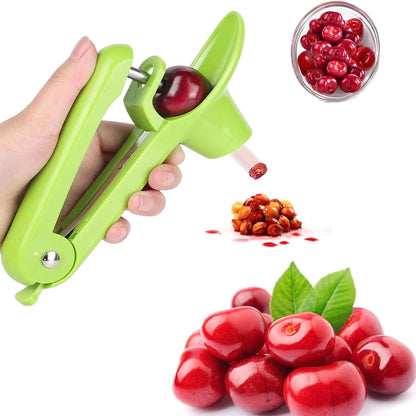 Cherry Pitter Tool, Heavy-Duty Stainless Steel Pitting Tool, Portable Cherries Corer Stoner Seed Tool with Lock Design, Fruit Pit Remover for Cherry Jam(Black)