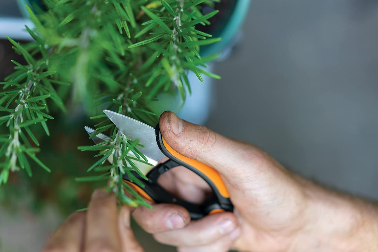 Fiskars Herb Scissors Length 5.1" Stainless Steel Blades/Plastic Handles Black/Orange Solid SP-220 1063326
