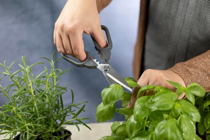 Kuhn Rikon Pro Kitchen Shears