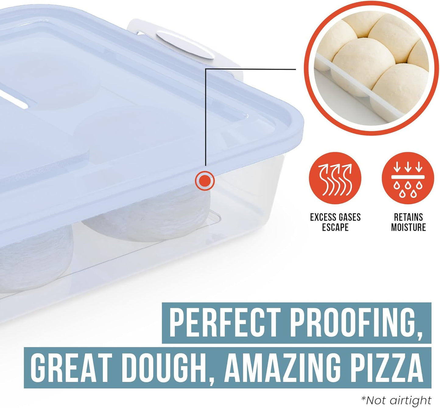 Chef Pomodoro Pizza Dough Proofing Box, 14 x 11-Inch, Preparation Container with Lid, Fits 4-6 Proofing Balls, Household Pizza and Bread Dough Tray With Convenient Carry Handle (Blue)