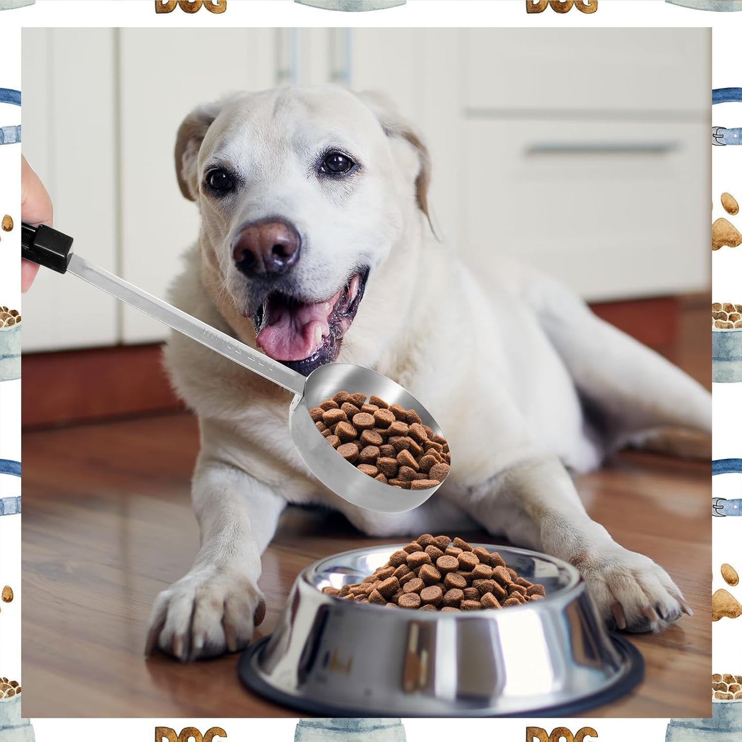 2 Pcs Dog Food Scoop Long Handled Scoops 3/4 Cup Stainless Steel Measuring Cups Portion Control Serving Spoons for Dogs Cats Birds and Rabbits Pet Food Feeding Scoop (3/4 Cup)