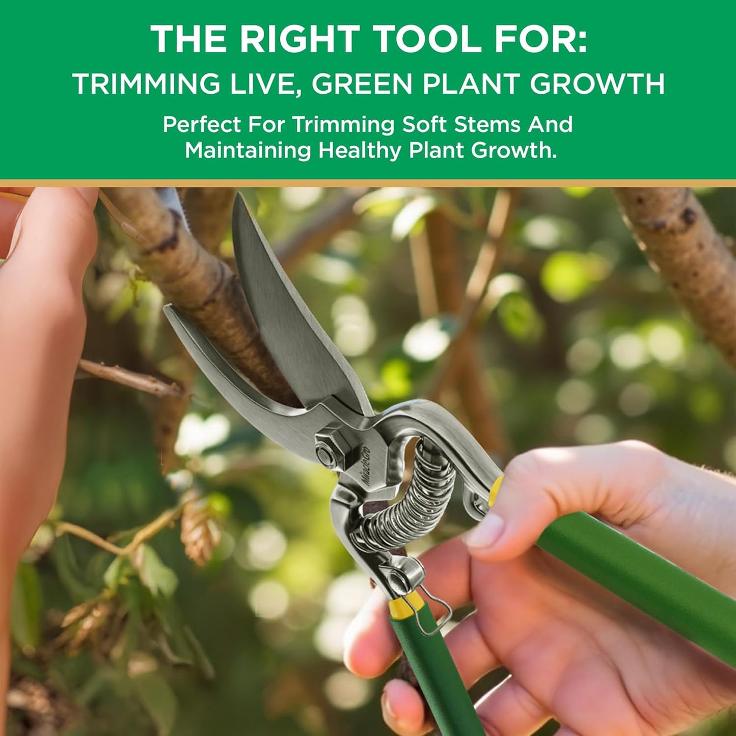 Miracle-Gro 8 in. All-Purpose Steel Garden Utility Shears with Serrated Blades – Comfort Grip Yard and Garden Scissors for Pruning Plants, Flowers, and Herbs