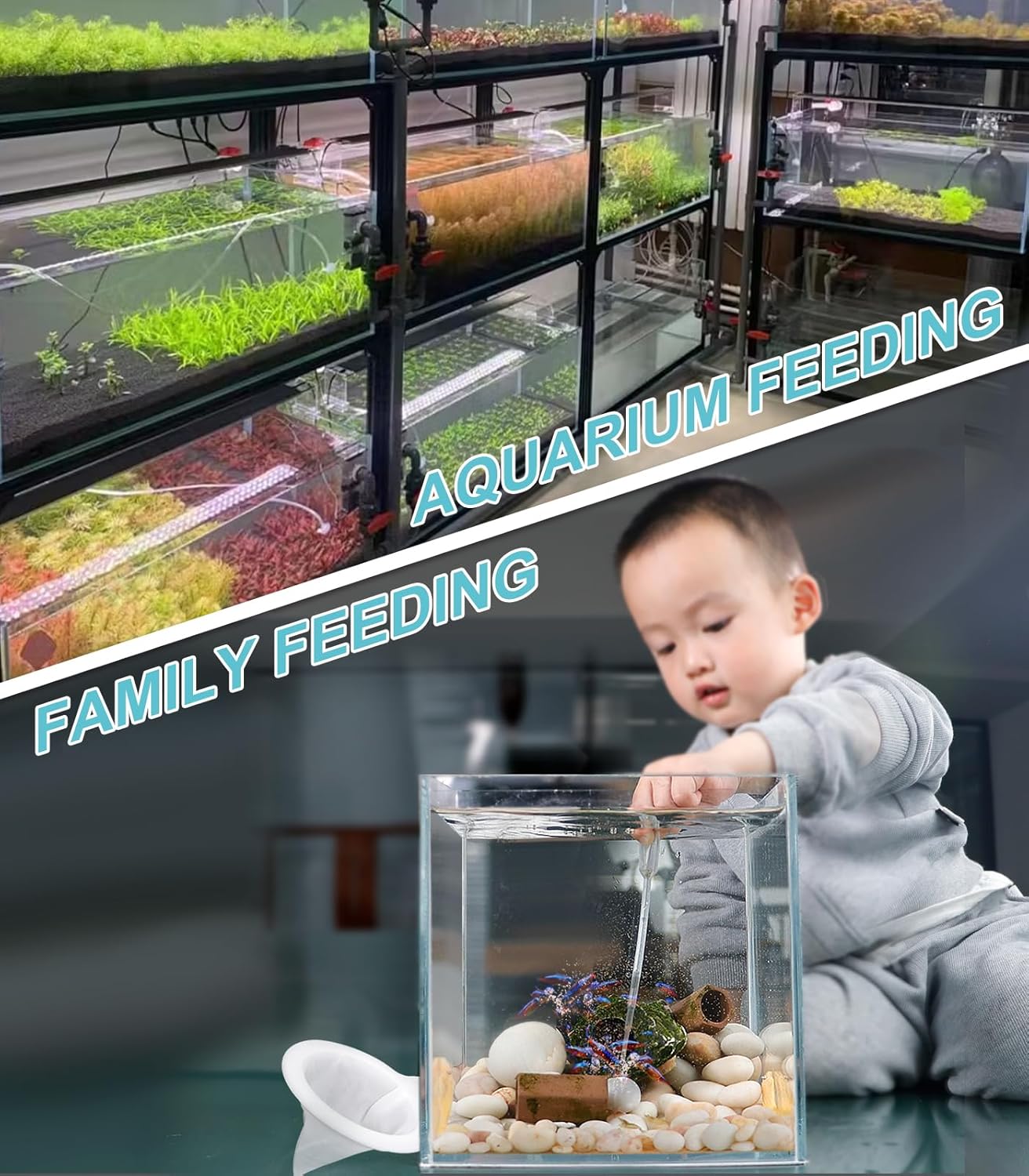 Baby Brine Shrimp Sieve 80 Mesh 200 Mesh kit for Brine Shrimp Hatchery