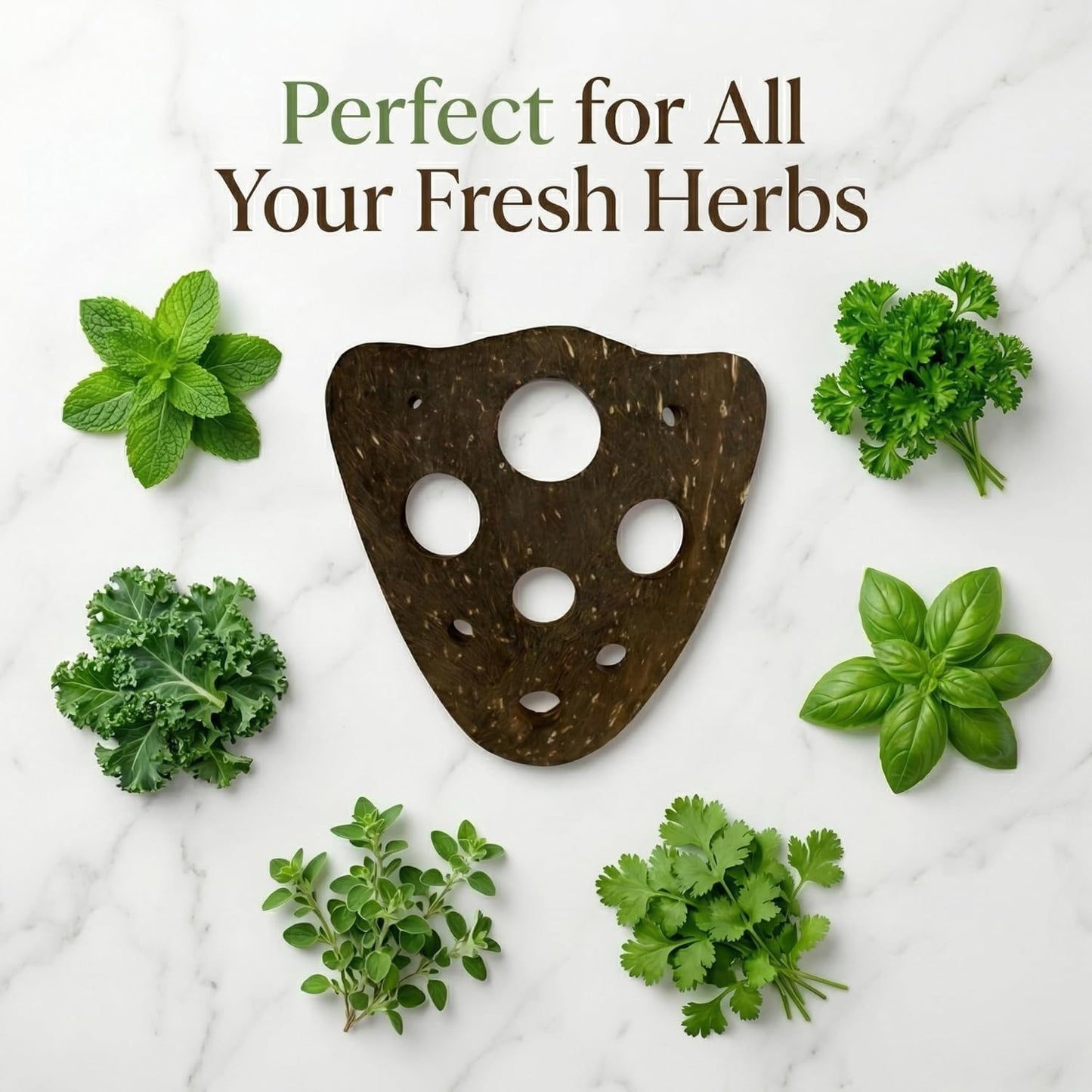 All-Natural Herb Stripper Tool for Fresh Herbs | 9-Hole Kale, Rosemary and Thyme Peeler | Eco-Friendly Kitchen Gadget | Metal & Plastic Free Herb Stripping Tool for Cilantro, Basil, Chard & More