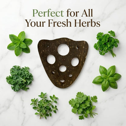 All-Natural Herb Stripper Tool for Fresh Herbs | 9-Hole Kale, Rosemary and Thyme Peeler | Eco-Friendly Kitchen Gadget | Metal & Plastic Free Herb Stripping Tool for Cilantro, Basil, Chard & More