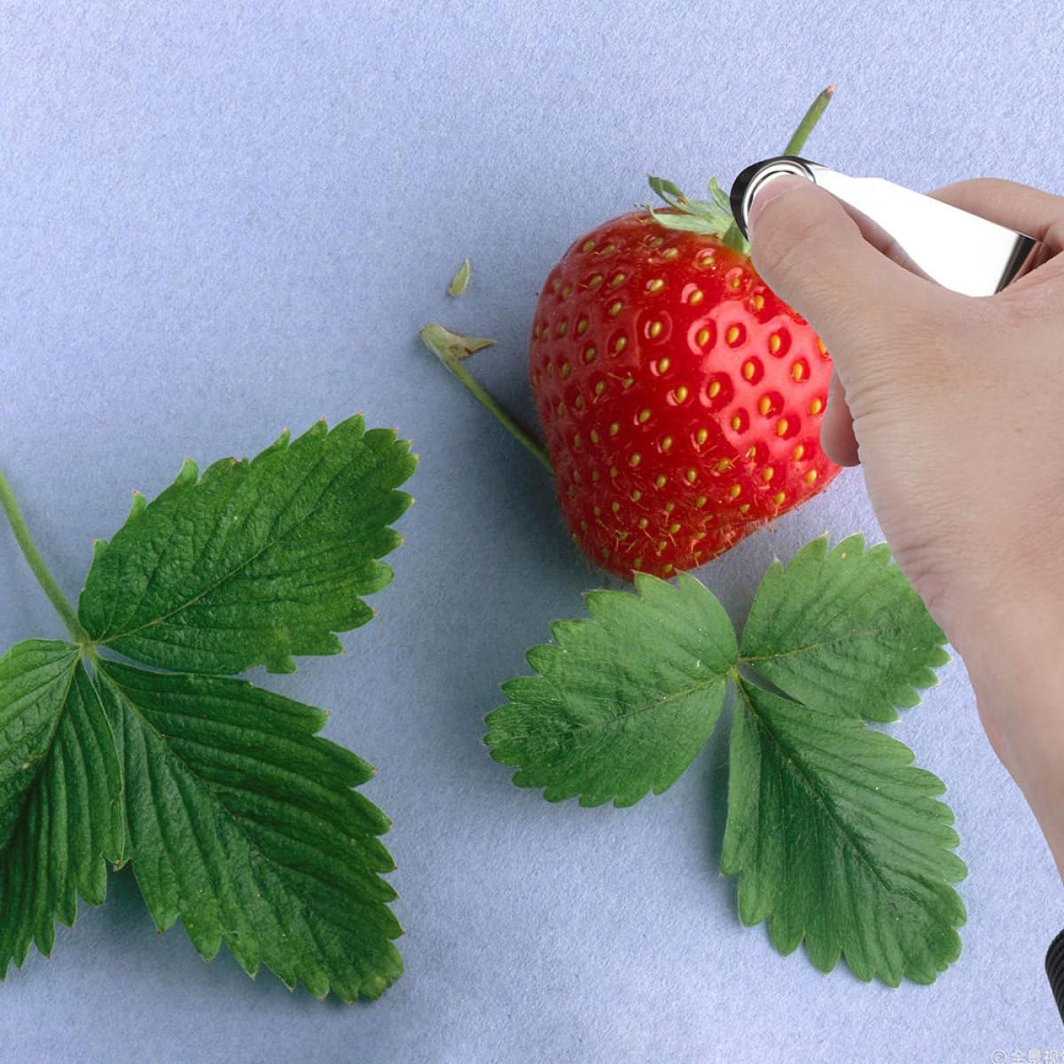 Angoily 4pcs Stainless Steel Strawberry Huller Tool Stem Remover Kitchen Fruit Corer Set for Home Cooking