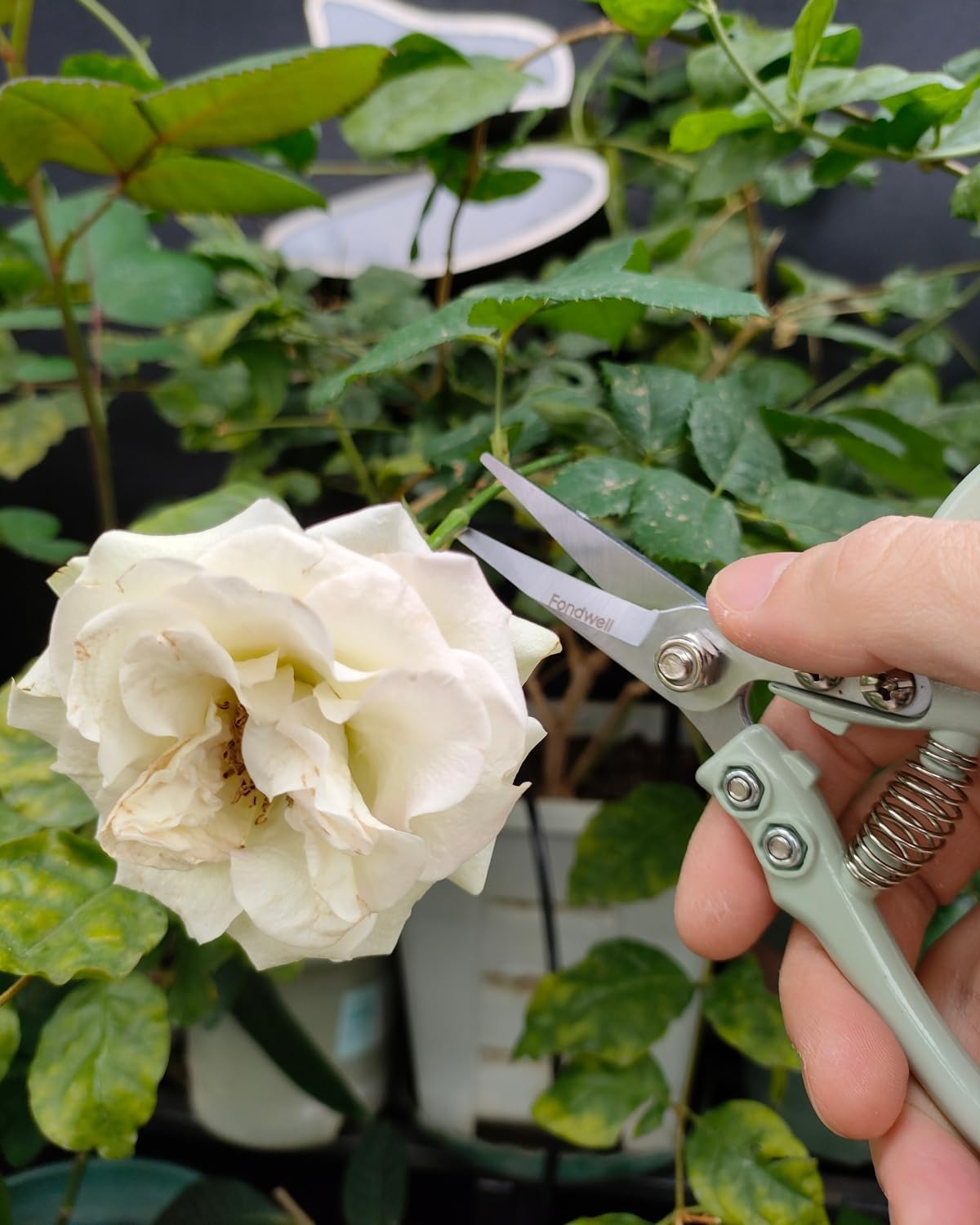 Fondwell 6.5" Pruning Shears Trimming Scissors: 2 Pack of Small Garden Snips with Micro Tip - Plant Clippers of High Cutting Efficiency