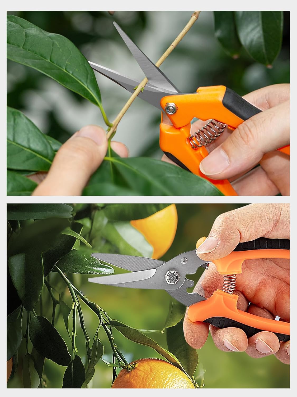 GROWNEER 3 Packs 6.5 Inch Pruning Shears Gardening Hand Pruning Snips Gardening Scissors with Straight Stainless Steel Precision Blades