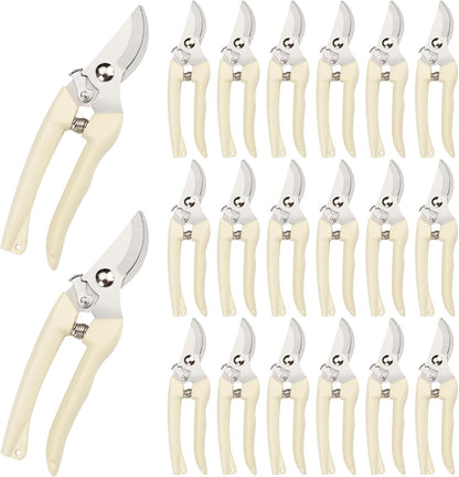 Garden Scissors for Plant, Tip Pruning Shears for Cutting Flowers, Trimming Plants, Bonsai and Fruits Picking (Bypass Blade Pruner)
