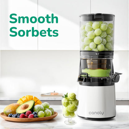 Canoly C16 Cold Press Juicer, 6" Extra Wide Feed Chute, 3-IN-1 Strainers (Juice & Sorbet & Nut Milk), Powerful AC Brushless Motor, Self Precut System, Juicer Machines with BPA-Free (Space Gray)
