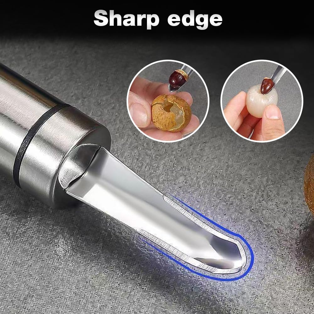 Stainless Steel Longan Corer, Household Handheld Fruit Core Pitter for Longan Lychee Cherry Jujube Seed Removal (3PCS)