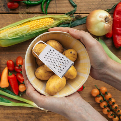 Toyvian Mini Stainless Steel Box Graters, 6pcs 4-Sided Multi-Function Vegetable Slicer and Shredder for Cheese Garlic Ginger and Carrots Compact Kitchen Tools