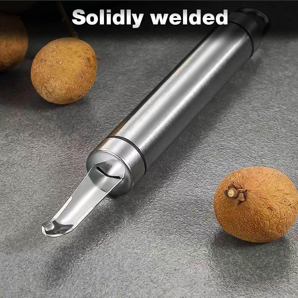 Stainless Steel Longan Corer, Household Handheld Fruit Core Pitter for Longan Lychee Cherry Jujube Seed Removal (3PCS)