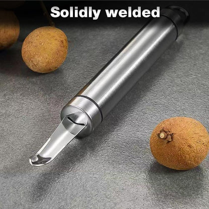 Stainless Steel Longan Corer, Household Handheld Fruit Core Pitter for Longan Lychee Cherry Jujube Seed Removal (3PCS)