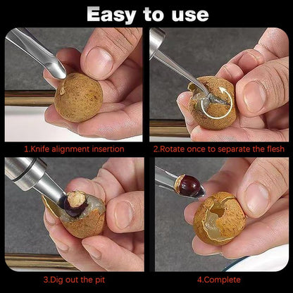 Stainless Steel Longan Corer, Household Handheld Fruit Core Pitter for Longan Lychee Cherry Jujube Seed Removal (3PCS)