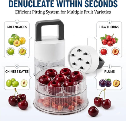 Cherry Pitter 2 packs – Multiple Cherry Pitter Tool, 7-Hole Cherry Corer for Easy, Complete Pit Removal, Quick & Mess-Free Cherry Jam, Baking & Kitchen Prep