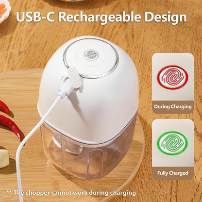 Mini Garlic Chopper, 250ml Small Food Processor Cordless 1 Cup, Battery USB-C Rechargeable Electric Food Chopper Wireless, Portable Garlic Grinder Masher,Veggie Meat Blender Mincer Kitchen Mixer,White