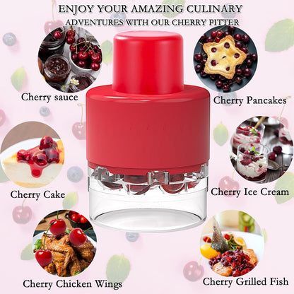 Cherry Pitter Tool, Heavy-Duty Stainless Steel Pitting Tool, Portable Cherries Corer Stoner Seed Tool with Lock Design, Fruit Pit Remover for Cherry Jam(Black)
