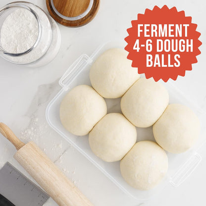 Chef Pomodoro Pizza Dough Proofing Box, 14 x 11-Inch, Preparation Container with Lid, Fits 4-6 Proofing Balls, Household Pizza and Bread Dough Tray With Convenient Carry Handle (Blue)