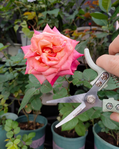 Fondwell 6.5" Pruning Shears Trimming Scissors: 2 Pack of Small Garden Snips with Micro Tip - Plant Clippers of High Cutting Efficiency