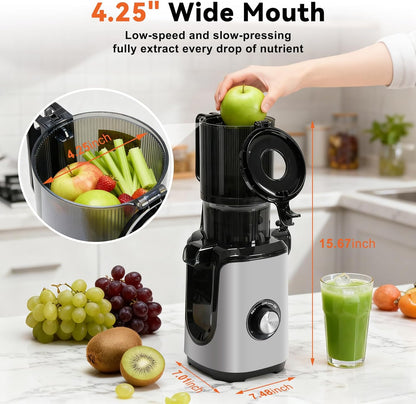 NEWBULIG Cold Press Juicer Machines, Masticating Juicer with High Juice Yield, Reverse Function, Stops Oxidation and Easy to Clean for Vegetables & Fruits, Black