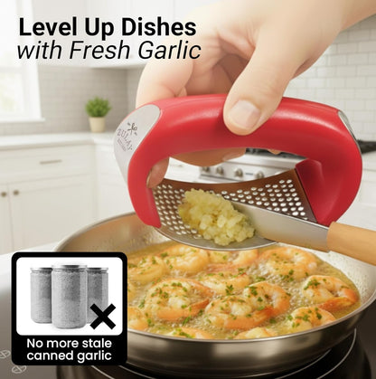 Zulay Kitchen Stainless Steel Garlic Press Rocker Set - Premium Garlic Mincer Garlic Crusher - New Innovative Garlic Crusher with Peeler and Scraper - Comfortable Grip (Black)