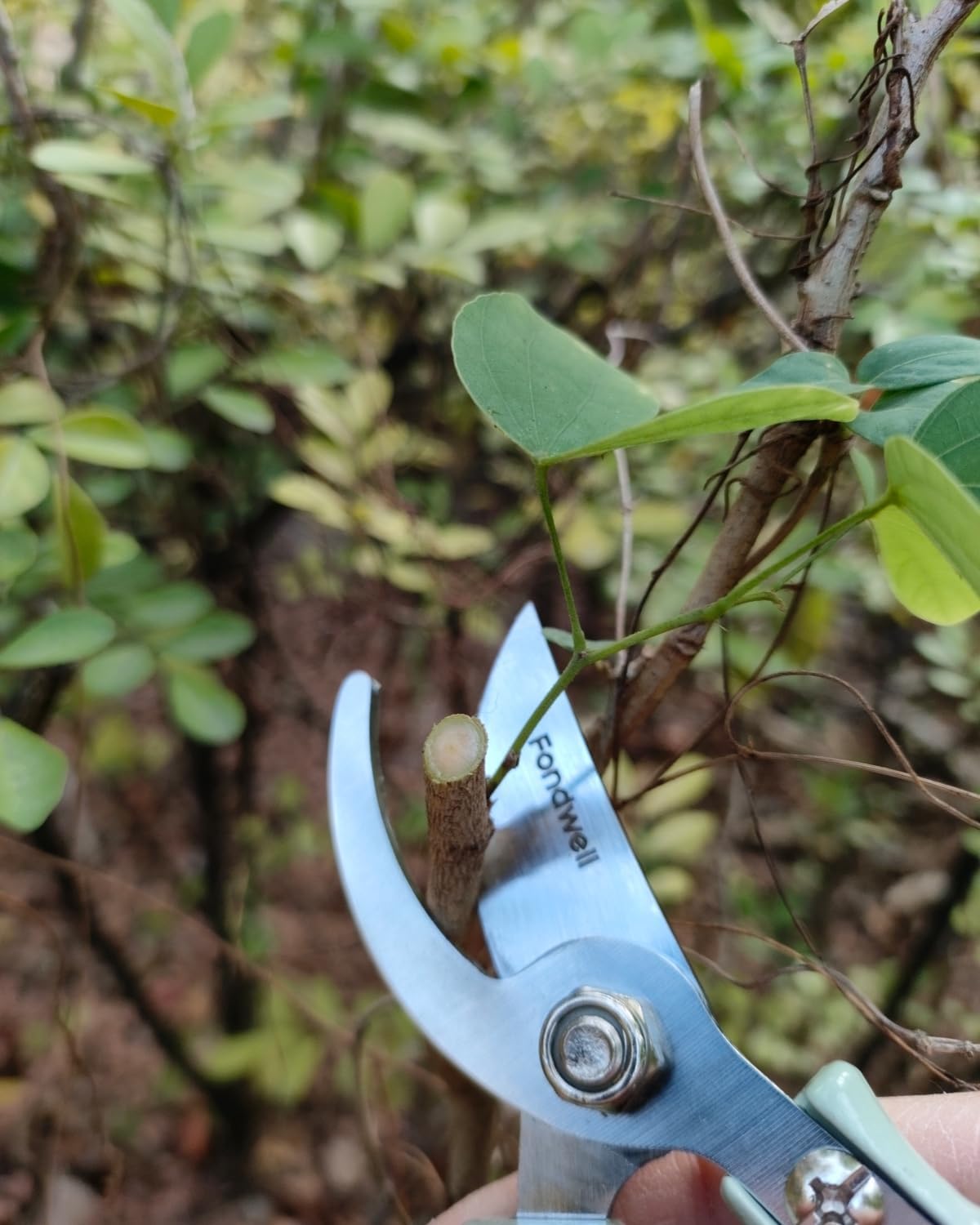 Fondwell 6.5" Pruning Shears Trimming Scissors: 2 Pack of Small Garden Snips with Micro Tip - Plant Clippers of High Cutting Efficiency