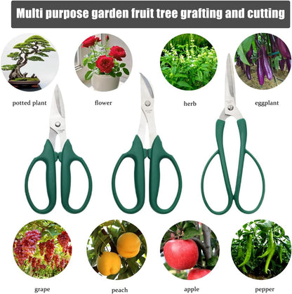 3 Pack Garden Shears Pruning Scissors, Fruit & Vegetable Picker, Anti-Slip Softgrip Flower Cutting Scissors, Stainless Steel Garden Clippers Set for Plant Herb & Bonsai, Ergonomic Handle