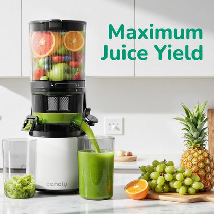 Canoly C16 Cold Press Juicer, 6" Extra Wide Feed Chute, 3-IN-1 Strainers (Juice & Sorbet & Nut Milk), Powerful AC Brushless Motor, Self Precut System, Juicer Machines with BPA-Free (Space Gray)