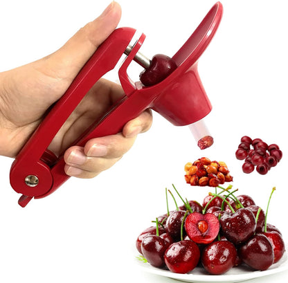 Cherry Pitter Tool, Heavy-Duty Stainless Steel Pitting Tool, Portable Cherries Corer Stoner Seed Tool with Lock Design, Fruit Pit Remover for Cherry Jam(Black)