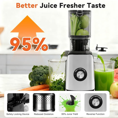NEWBULIG Cold Press Juicer Machines, Masticating Juicer with High Juice Yield, Reverse Function, Stops Oxidation and Easy to Clean for Vegetables & Fruits, Black