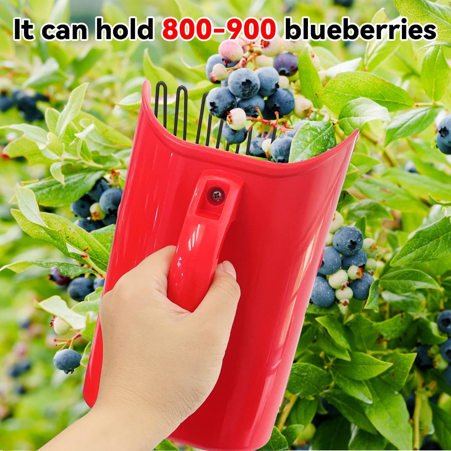 2 Pack Blueberry Picker with Metallic Comb and Ergonomic Metal Handle, Plastic Scoop for Blueberries Lingonberries Huckleberries (Red)