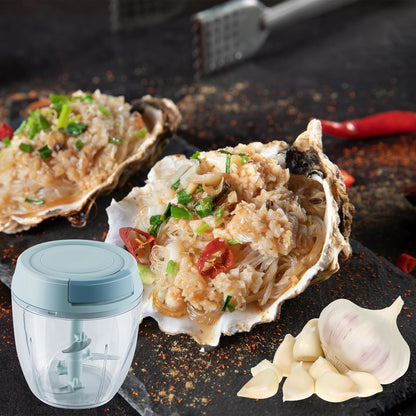 Garlic Chopper Mini Manual Hand Food Chopper for Kitchen Onion Dicer Crusher Garlic Mincer Blue 160ml