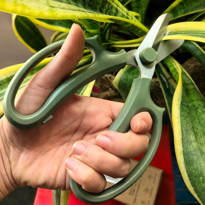 Garden Pruning Shears Scissors with Comfort Grip Handle, Premium Steel Professional Floral Scissors, Perfect for Arranging Flowers, Pruning, Trimming Plants, Gardening Tool (Pink)