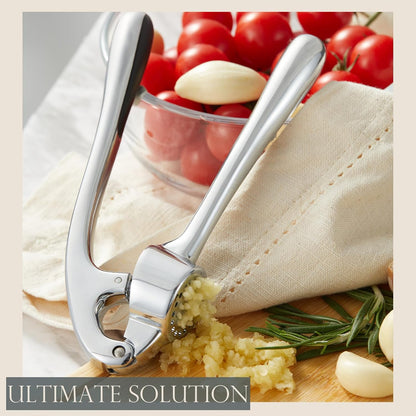 Kitessensu High Effective Garlic Press With Studs, Heavy Duty Garlic Mincer, Easy to Squeeze and Clean, Rust Proof, Ginger Crusher- Imperial Silver