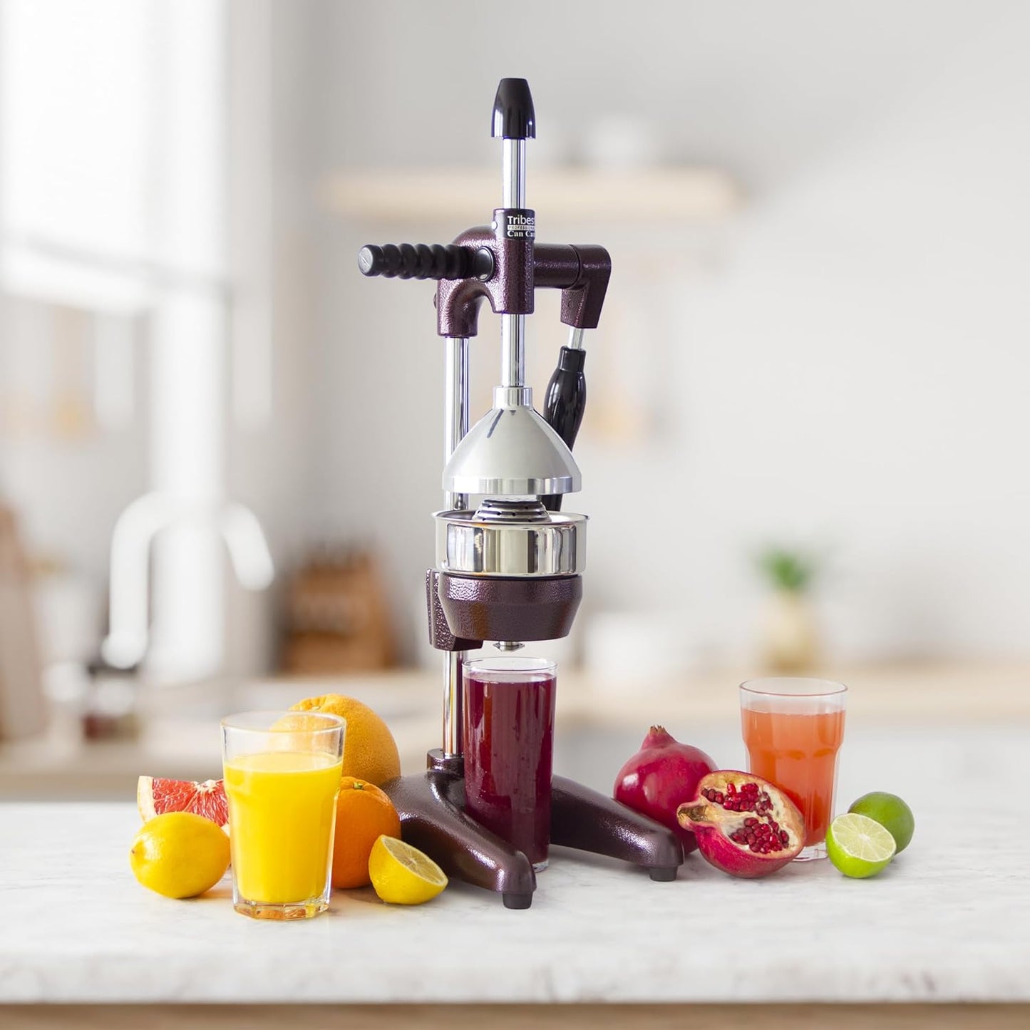 Tribest Pro MJP-105 XL Professional Manual Cold Press Juicer Machine for Pomegranates and Citrus (Purple)