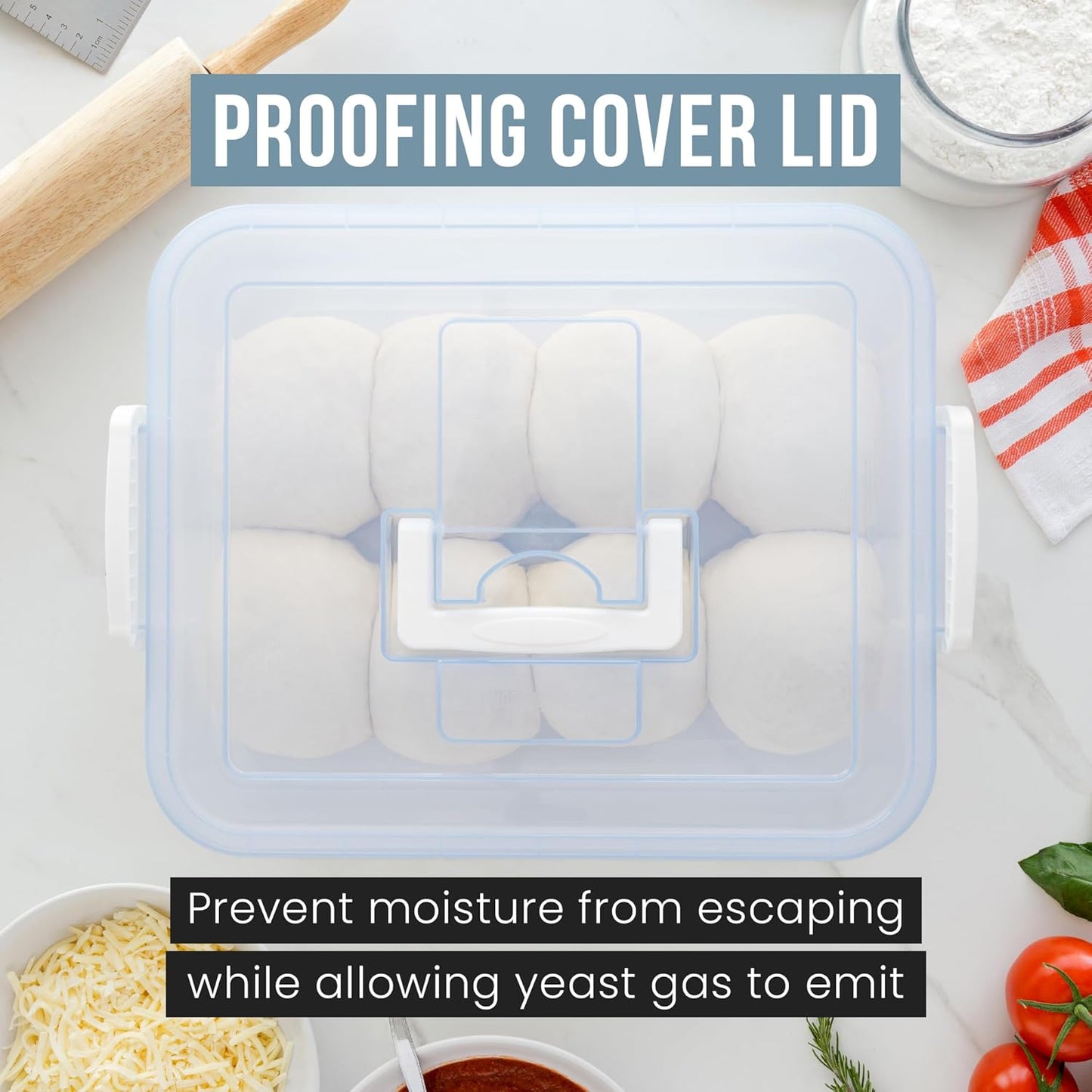 Chef Pomodoro Pizza Dough Proofing Box, 14 x 11-Inch, Preparation Container with Lid, Fits 4-6 Proofing Balls, Household Pizza and Bread Dough Tray With Convenient Carry Handle (Blue)