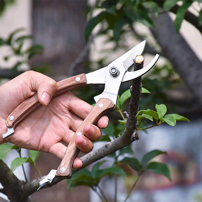BUGUI Garden Shears Set of 2, Includes 1 Bypass Pruning Shears and 1 Straight Blade Garden Scissors, Sharp, Lightweight