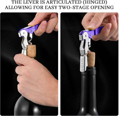 HYZ 2-Pack Wine Opener Waiter Corkscrew, Professional Wine Key for Servers, Bartender, with Foil Cutter, Manual Wine Bottle Opener Double Hinged (Black)