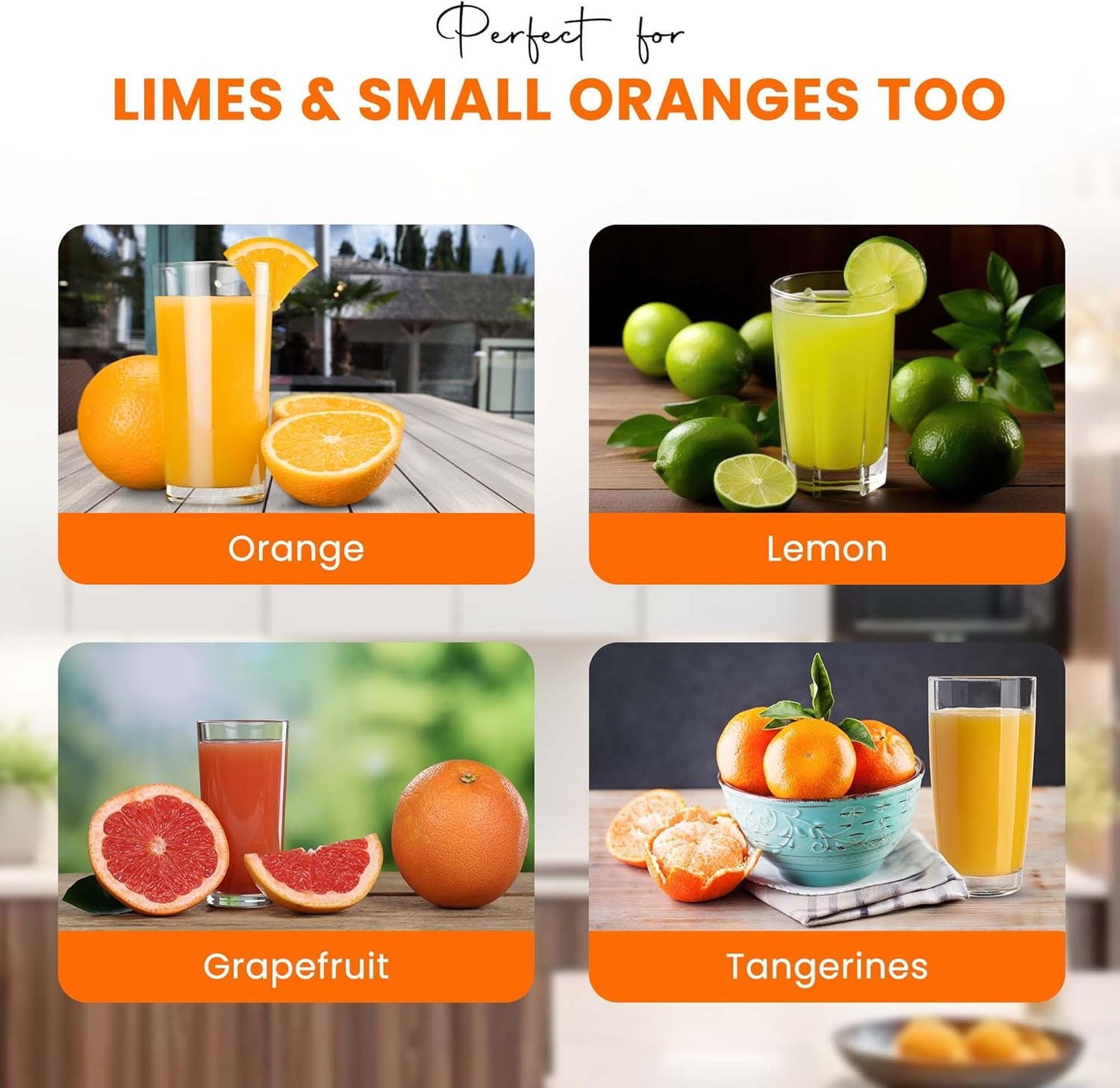 Heavy-Duty Stainless Steel Lemon Squeezer – Handheld Citrus Press for Effortless Juicing