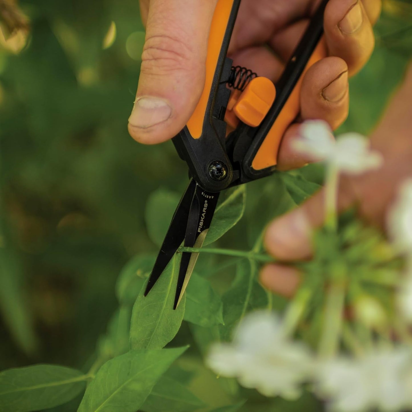 Fiskars 6" Pruning Scissors for Flowers, Buds, Weeds and Small Plants, Garden Snips with Resin Resistant Nonstick Stainless Steel Blades, Gardening Trimmers with Comfortable Handle