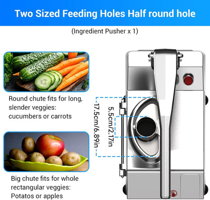 LEEVOT Commercial Vegetable Chopper 200W, Electric Food Processor for Slicing Dicing Shredding, Professional Veggie Cutter for Restaurant, Hotel School, Cafeteria, French Fry, Cheese Grater