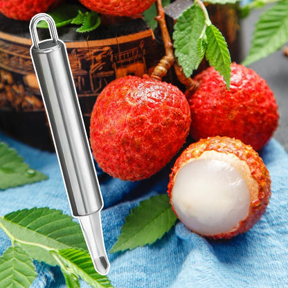 Stainless Steel Longan Corer, Household Handheld Fruit Core Pitter for Longan Lychee Cherry Jujube Seed Removal (3PCS)