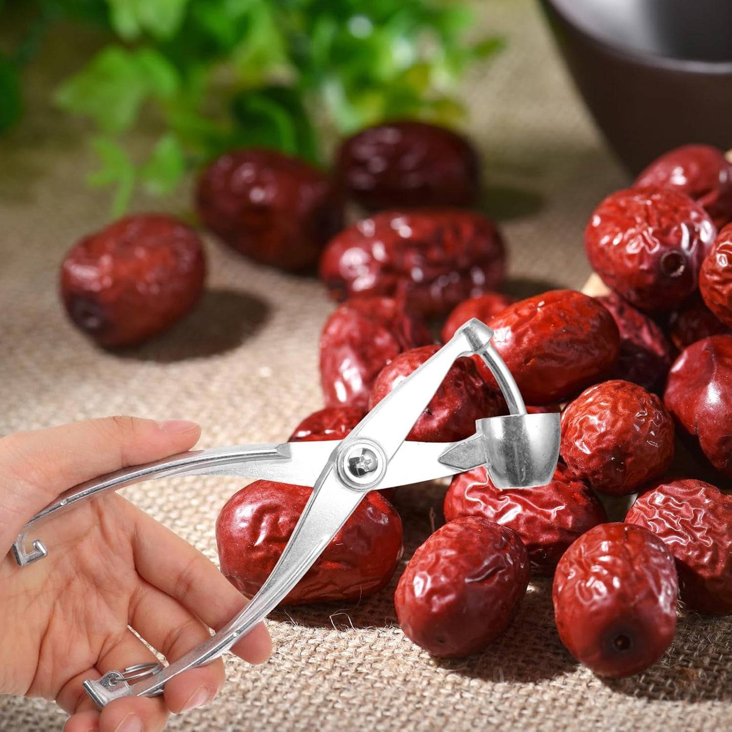 UPKOCH Professional Cherry Pitter Core Remover Metal Olive Corer Sturdy Kitchen Fruit Seed Remover Tool for Daily Use and Home Cooking