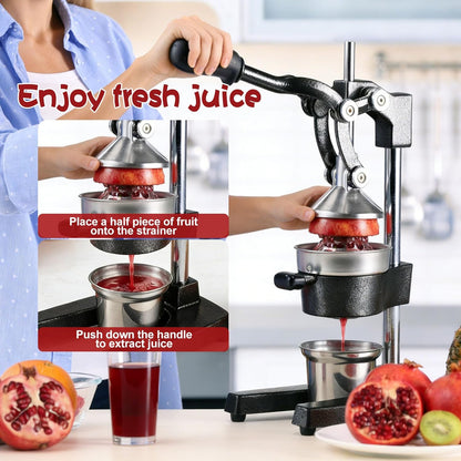 Cast Iron Citrus Juicer Hand Press, Heavy Duty Manual Orange Juicer Squeezer with 304 Stainless Steel Cup & Strainer, Lemon Grapefruit Pomegranate Press, Grey