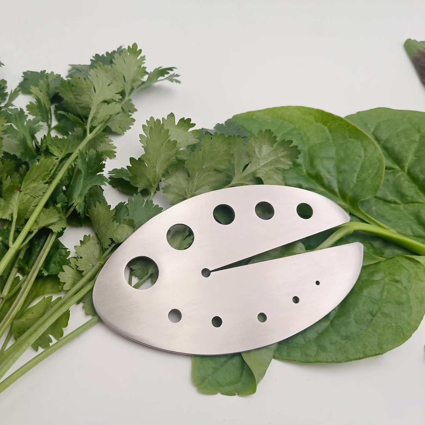 Herb Stripper, Stainless Steel Herb Leaf Stripping Tool, 11 holes Kitchen Kale, Chard, Vegetable Leaf Remover/Separator, Small Kitchen Gadgets - 1pcs, Silver